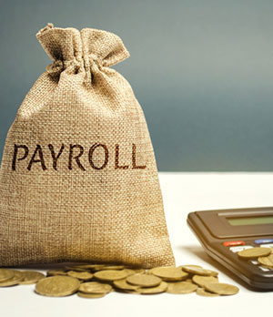 Payroll Services
